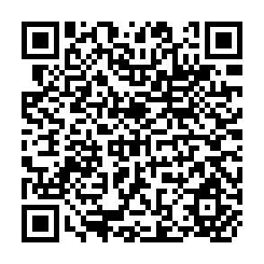 QR Code for Worker Remittances and Inequality in Rural Egypt