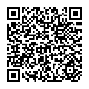 QR Code for Report of the Technical Meeting
