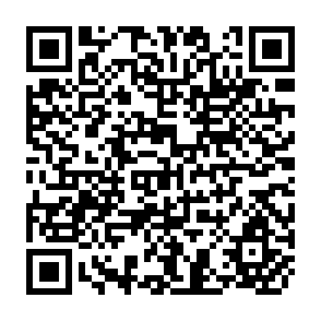 QR Code for Tropical Forestry Action Plan