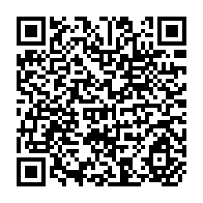 QR Code for Paracho, The Economics of Development in a Mexican Smallholder Community