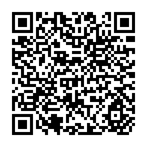 QR Code for Statistics for Food and Agricultural Policy Analysis