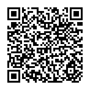 QR Code for The Interaction Of Credit And Uncertainty In Determining Resource Allocation And Incomes On Small Farms, Surat District, India
