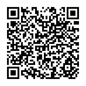 QR Code for The shattered image