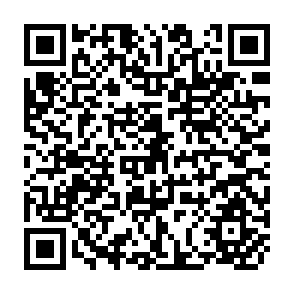 QR Code for Issue Paper No.11