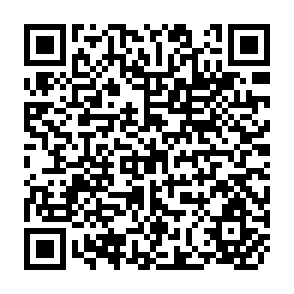 QR Code for The Relationship Between Debt Pressures, Adjustment Policies and Deterioration of Terms of Trade for Developing Countries (With Special Reference to Latin America)