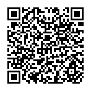 QR Code for Generating Marketed Surplus of Food Through State Farms: A Critical  Evaluation of the Ethiopian Experience