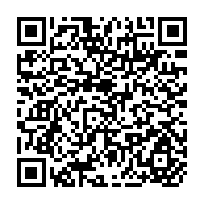 QR Code for Choice of Rice Crop Establishment Technique: Transplanting vs Wet Seeding