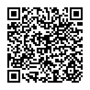 QR Code for Basic Science in Development