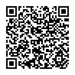 QR Code for new Land Settlement in the Eastern Low alnds of Colombia