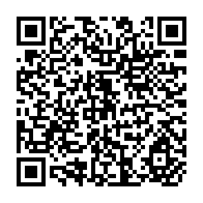 QR Code for Monitoring and Evaluating Developmet Projects The South Asian Experience