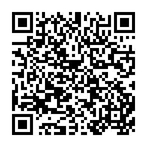 QR Code for Guide to planing and evaluating NGO projects