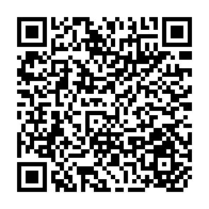 QR Code for Software Engineering