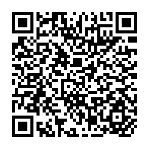 QR Code for Asian Panorama: Essays in Asian History, Past and Present