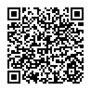 QR Code for Value Added and Employment in Services, Small - Scale and Cottage Industries in Bangladesh : A Critical Review