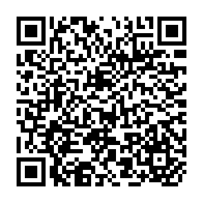 QR Code for Research Report No. 113