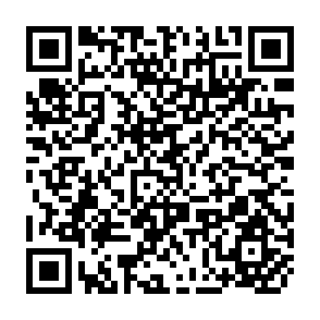 QR Code for Social Forestry in Bangladesh