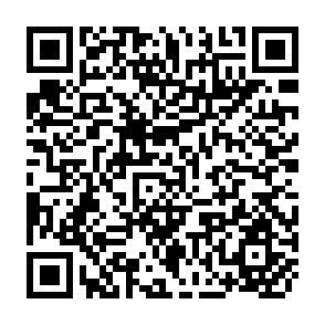 QR Code for State of the Art Series - Integrated Rural Development - Indonesia