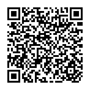 QR Code for State of the Art Series- Integrated Rural Development Nepal
