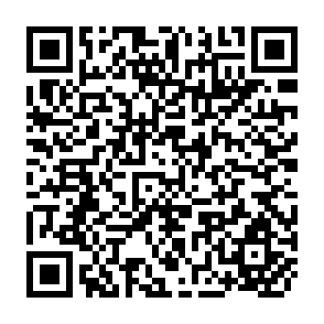 QR Code for State of the Art Series- Integrated Rural Development Philippines