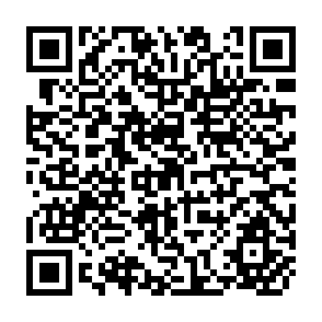 QR Code for Village and Household Economies in India's Semi-arid Tropics