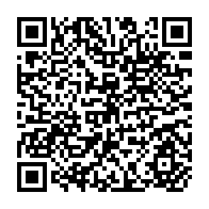 QR Code for Approaches to Agricultural technology Adoption and Consequences of Adoption in the Third World: A Critical Review