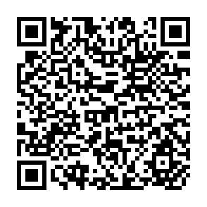 QR Code for Development Assistance