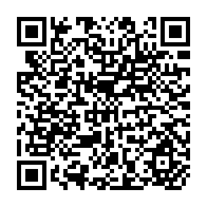 QR Code for The Politics of Food Prices