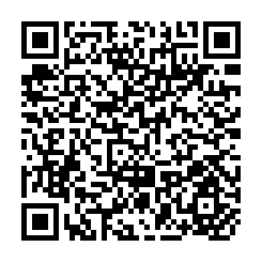 QR Code for The Stagnant Society