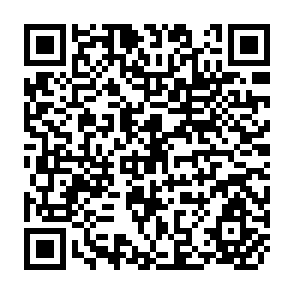 QR Code for Roots of Dependency