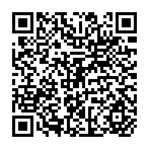 QR Code for Human Resource LED Development