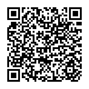QR Code for Asian Rethinking on Development : A Symposium