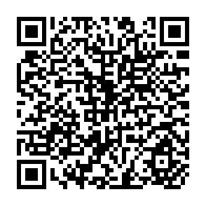 QR Code for Land Reform:The italian Experience
