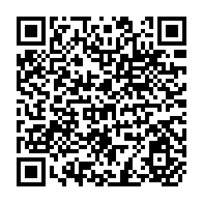 QR Code for Sustainability in Irrigation Agriculture