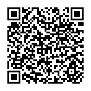QR Code for Measuring Development: The Role and Adequacy of Development Indicators