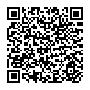 QR Code for Institute of Policy Studies