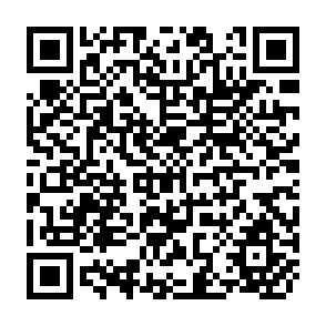 QR Code for Reflections on the role of Basic Sciences in Third World Countries
