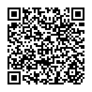 QR Code for The Global Energy Crysis and International Developmnet