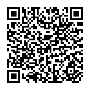 QR Code for European Integration and the Third World