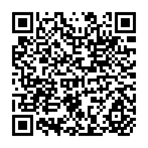 QR Code for Entitlement and Development an Institutional Approach to the Acquirement Problem