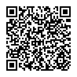 QR Code for Concepts And Definitions for The World Accounting Matrix