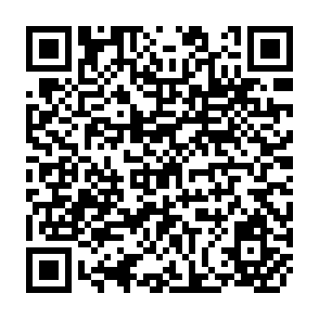 QR Code for Agricultural growth and structural changes in the punjab economy: An input-output analysis