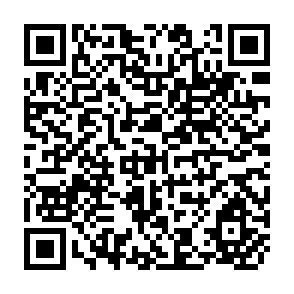 QR Code for Third World Television Access to U.S. Media