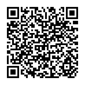 QR Code for The Farmer as Irrigators Organizer: Lesson from the BPEPIS Experience