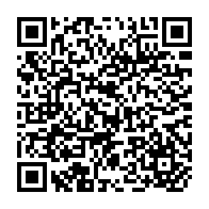 QR Code for Impact of an agri-based transnational enterprices on peasants and peasant community: The case of del monte in Bukidnon