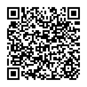 QR Code for Rural Poverty and Inequality in Post-Reform China