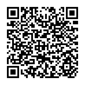 QR Code for The Strategy of Trans-national Corporation