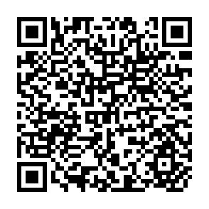 QR Code for The Anatomy of Lies