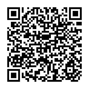 QR Code for Medium Term Estimates of Demand-Based Food Aid Requirements and Their Variability