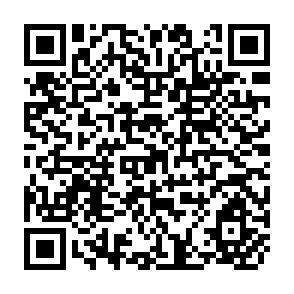 QR Code for Nutrition: Alternative Definitions and Policy Implications