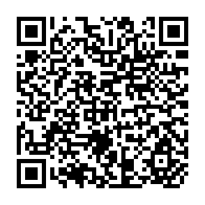 QR Code for The Advanced Theory of Statistics